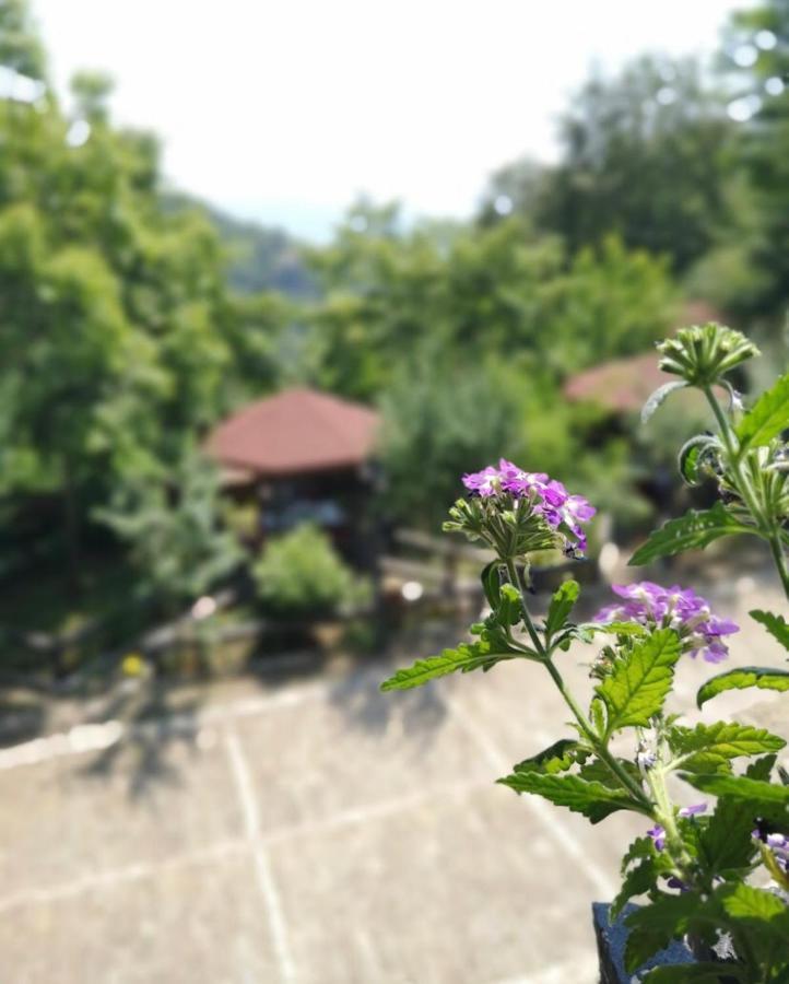 Hotel King Park Resort