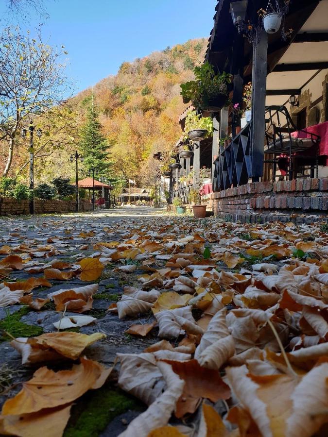 King Park Resort 4* Tirana